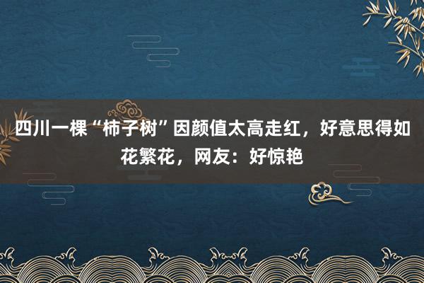 四川一棵“柿子树”因颜值太高走红，好意思得如花繁花，网友：好惊艳