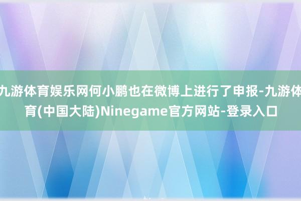 九游体育娱乐网何小鹏也在微博上进行了申报-九游体育(中国大陆)Ninegame官方网站-登录入口